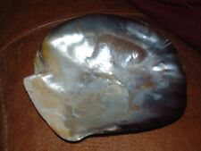 Large mother pearl for sale  UK