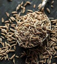 Indian Premium Natural Rajasthani Tadka Jeera Cumin Seeds Whole Organic/ Pulao, used for sale  Shipping to South Africa