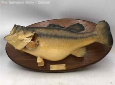 taxidermy fish mounts for sale  Detroit