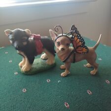 Butterfly aye chihuahua for sale  Templeton