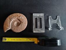 Fossile ammonite 8cm usato  San Dona Di Piave