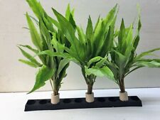 Bund hygrophila salicifolia gebraucht kaufen  Erle