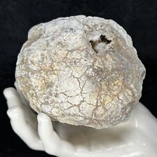 bezoar stone for sale  Crab Orchard