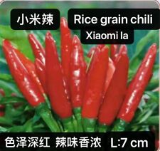 Rice grain chili for sale  Monterey Park