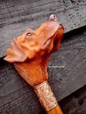 Fox red labrador for sale  UK