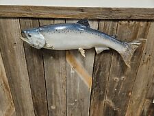 King salmon taxidermy for sale  Harshaw