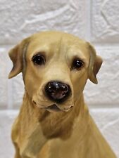 Golden retriever puppy for sale  Cosby