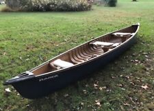 Canoe raised built for sale  Elburn