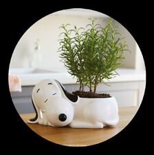 Plantador Sleeping Snoopy - Hallmark Peanuts comprar usado  Enviando para Brazil