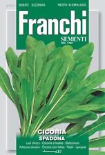 Franchi seeds chicory for sale  GRANTHAM