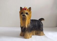 Yorkshire terrier dog for sale  LONDON