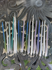 Parakeet feathers for sale  La Puente