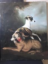 Bernard claviere whippets for sale  El Paso