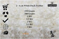 Duck feather stuffing for sale  Shipping to Ireland