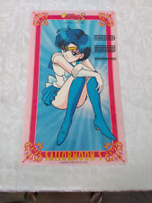 Usado, ANIME ⦑♡ဗⴰ VINTAGE Sailor Moon Mercury vinil plástico banner folha de cartão moldura 12" comprar usado  Enviando para Brazil