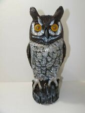 Dalen great horned for sale  Imlay City