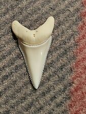Used, Genuine Great White shark tooth for sale  Shipping to South Africa