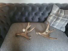 Stag antlers candle for sale  SCARBOROUGH
