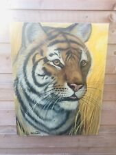 Tiger big cat for sale  MIDDLESBROUGH