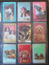 Vintage dachshund spaniel for sale  Bandon
