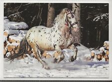 Horse postcard noriker for sale  ALTON