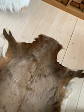 Small cow hide for sale  WESTCLIFF-ON-SEA