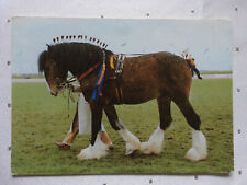 Postkarte pferde großbritanni gebraucht kaufen  Hamburg
