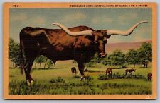 Texas long horn for sale  Sparta