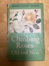 Climbing roses old for sale  SALISBURY