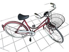 cargo bici olandese usato  Pineto