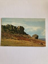 Cow calf rocks for sale  ST. IVES