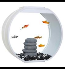 Aquarium extras fish for sale  KETTERING