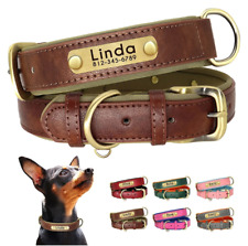 Personalized pet collar for sale  Naperville