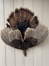 Turkey mount taxidermy for sale  Cooks