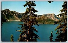 Oregon OR - View Of Crater Lake And Pine Trees - Vintage Postcard - Unposted, used for sale  Shipping to South Africa