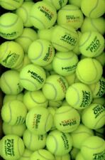 USED TENNIS BALLS FOR DOGS EX COMPETITION PROFESSIONAL MATCH BALLS BOUNCE TOY for sale  Shipping to South Africa