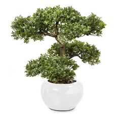 Baum bonsai weiß gebraucht kaufen  Görlitz-Zentrum