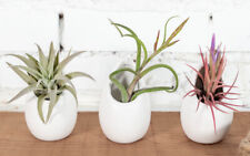 three set indoor planters for sale  Atlanta