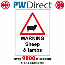 Tr598 warning sheep for sale  BACUP