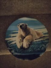 Polar bear wild for sale  MANSFIELD