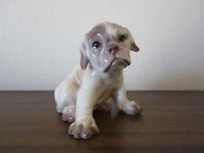 puppies mastiff for sale  Tucson