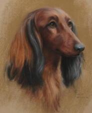 Desenho de retrato de cachorro pastel assinado original, Dachshund de pêlo comprido, sem reserva, usado comprar usado  Enviando para Brazil