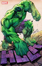 Hulk scott campbell d'occasion  Expédié en Belgium