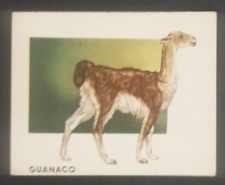 Vintage 1951 guanaco for sale  Reading