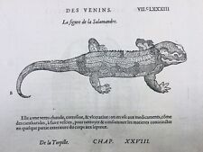 Salamandre 1585 raie d'occasion  Tuchan
