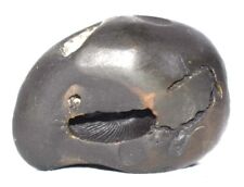 Rama shaligram balashalli usato  Spedire a Italy