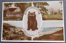 Vintage postcard greetings for sale  THETFORD