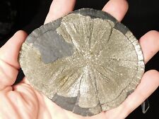 Big pyrite sun for sale  Salt Lake City