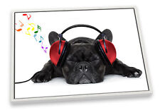 French bulldog headphones for sale  UK