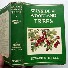 Wayside woodland trees for sale  HIGHBRIDGE